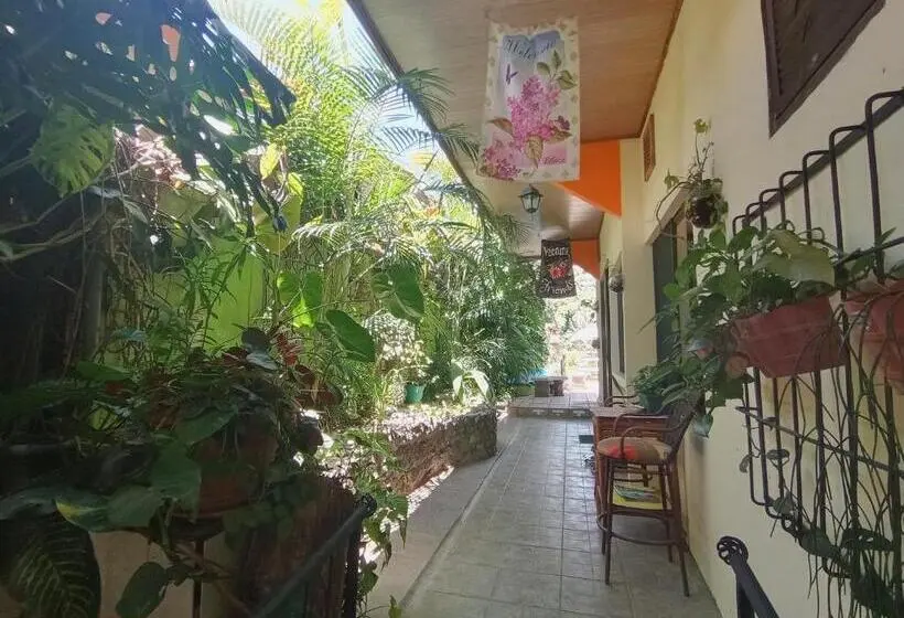 استودیو استاندارد با تخت کینگ, Nirvana Apartament Hostal