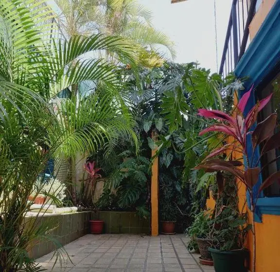 استودیو استاندارد با تخت کینگ, Nirvana Apartament Hostal