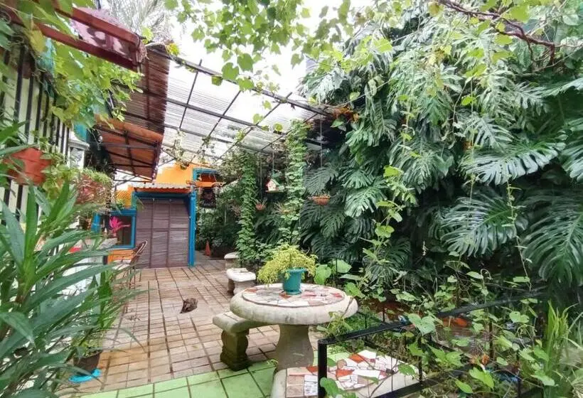 استودیوی استاندارد, Nirvana Apartament Hostal