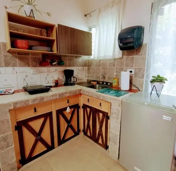 استودیوی استاندارد, Nirvana Apartament Hostal