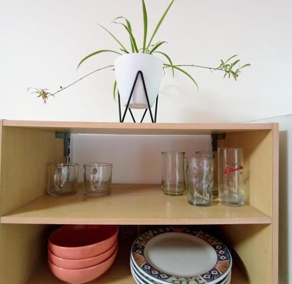 إستوديو قياسى, Nirvana Apartament Hostal