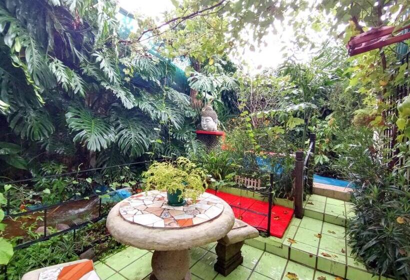 شقة ديلوكس غرفة نوم واحدة, Nirvana Apartament Hostal