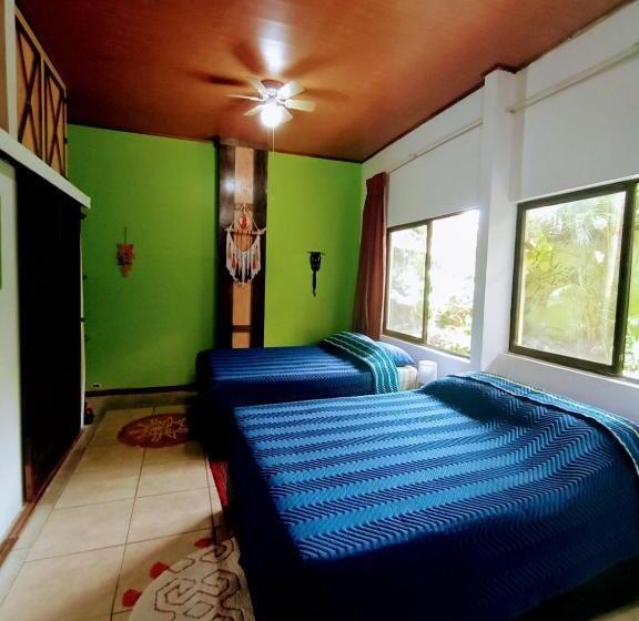 شقة ديلوكس غرفة نوم واحدة, Nirvana Apartament Hostal