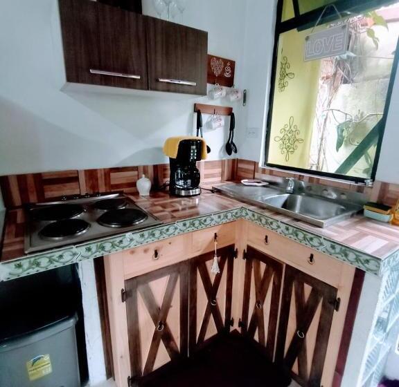 شقة ديلوكس غرفة نوم واحدة, Nirvana Apartament Hostal