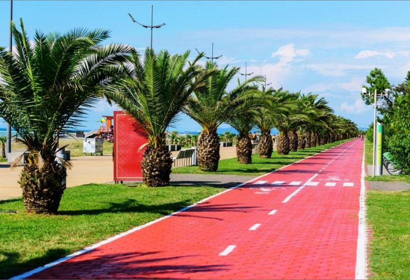 استودیوی استاندارد با چشم‌انداز دریا, Panorama Beach