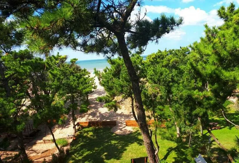 آپارتمان سوپریور 1 خوابه, Apart El Mar