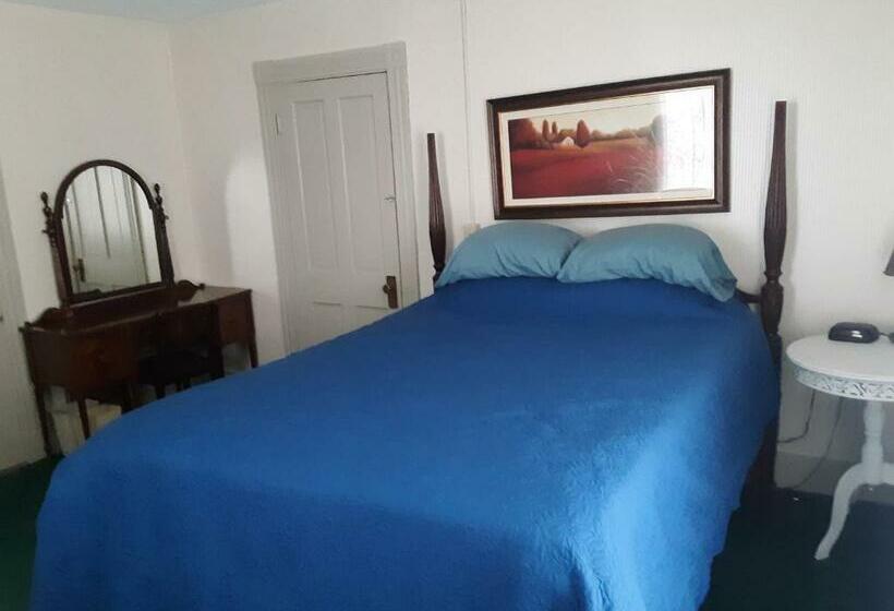 חדר דלוקס, Terrapin Hostel