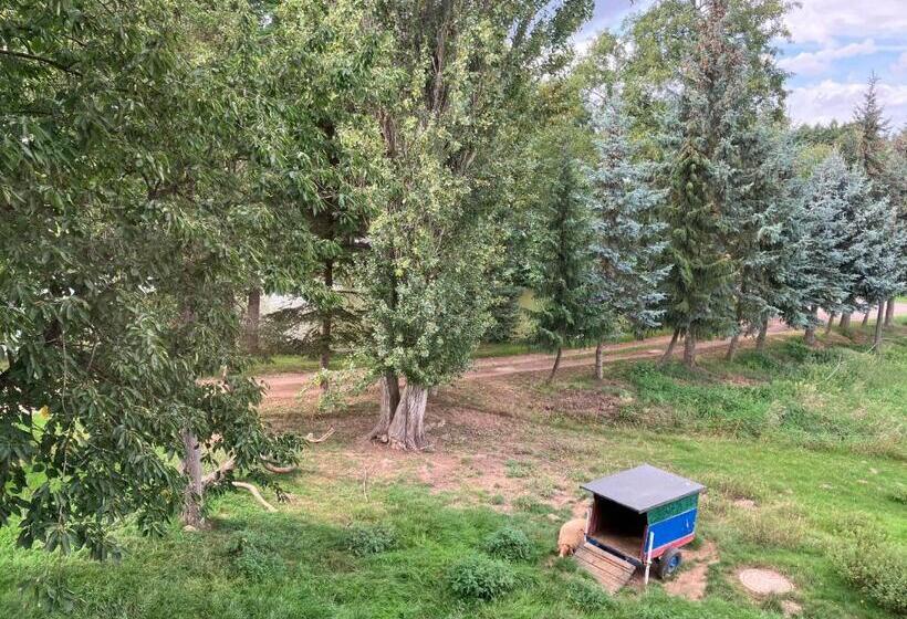 Номер Стандарт Вид на Озеро, Doppelzimmer Vom Friesenhof Wieratal