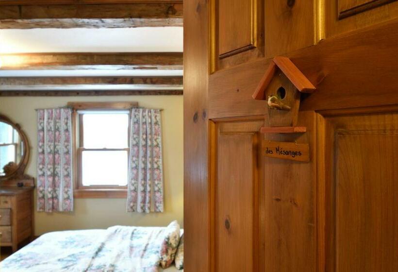 수피리어 룸, Chez Robert