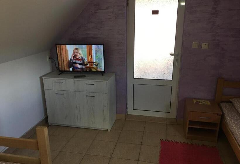 اتاق کلاسیک سه تخته, Banja Gornja Trepca Smestaj Grof