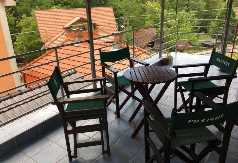 اتاق کلاسیک سه تخته, Banja Gornja Trepca Smestaj Grof