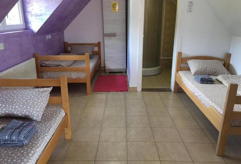 اتاق کلاسیک سه تخته, Banja Gornja Trepca Smestaj Grof