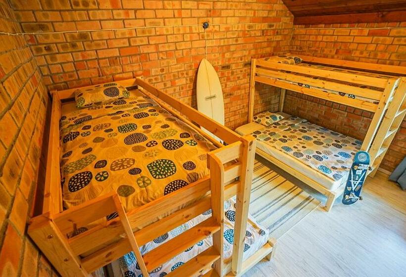 تختخواب در اتاق مشترک, Surf Camp