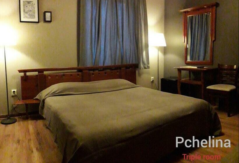 اتاق استاندارد سه تخته با بالکن, Family Hotel Pchelina