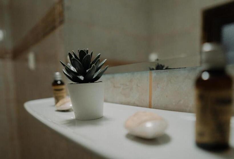 اتاق استاندارد, Casa Pelerinul