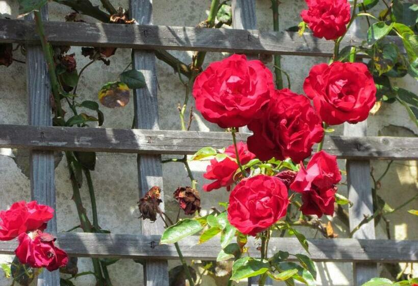 标准间, Duke Of Buckingham