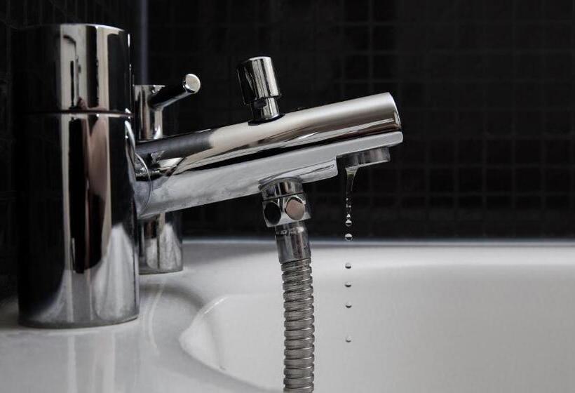 标准单人间, Duke Of Buckingham