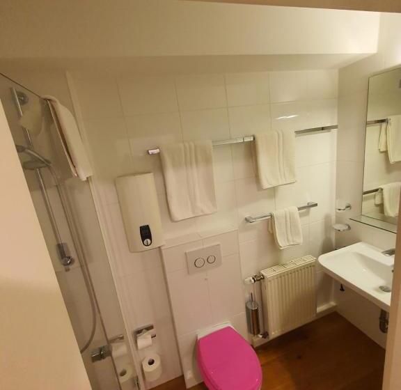 豪华单人间, Freiheit