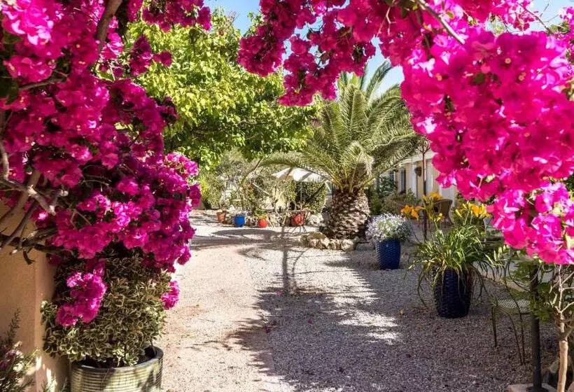 سوئیت جونیور با چشم‌انداز باغ, Cap Riviera Hotel & Restaurant Saint Aygulf