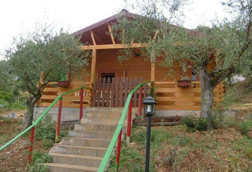 スタンダードバンガロー, Agriturismo Cisogna