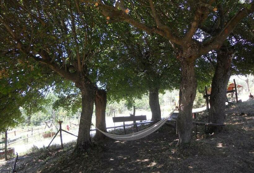 スタンダードバンガロー, Agriturismo Cisogna