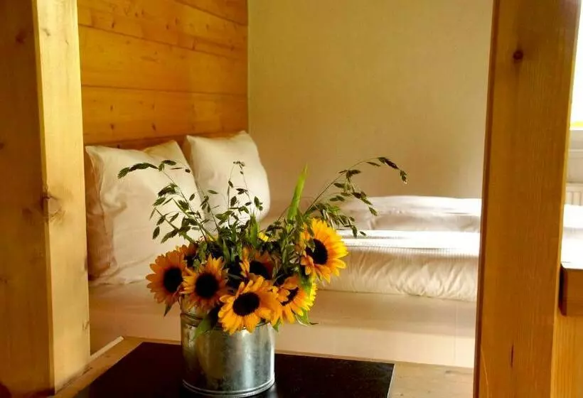 Quarto standard, Alpe Oberstdorf