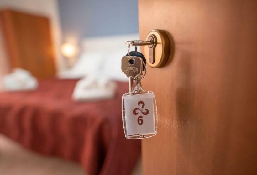 スタンダードルーム, B&b New Triscele