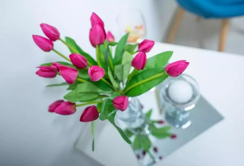اتاق استاندارد با بالکن, B&b New Triscele