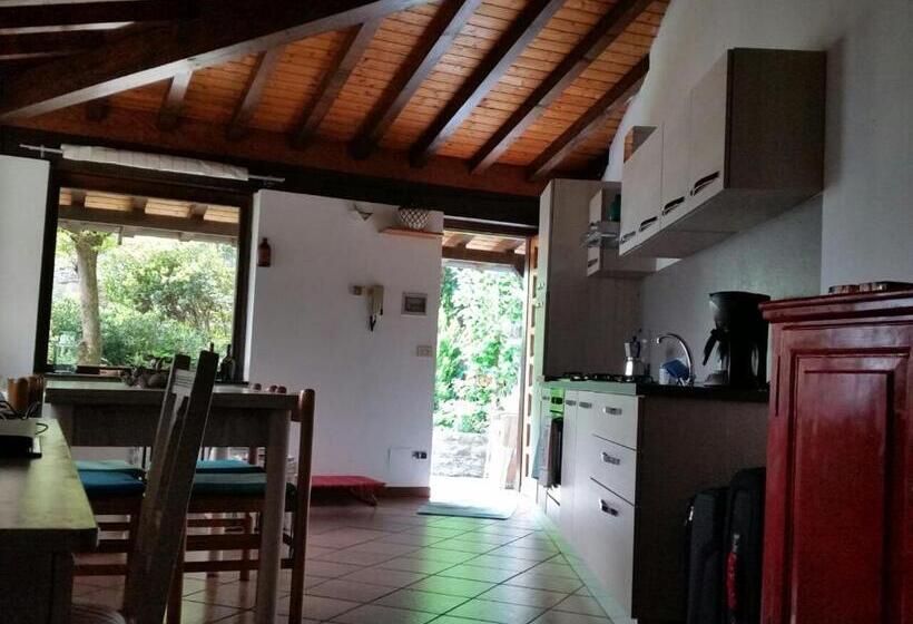 غرفة قياسية, Bersagliere