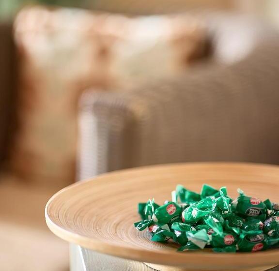 חדר סופריור, Dolomit Boutique