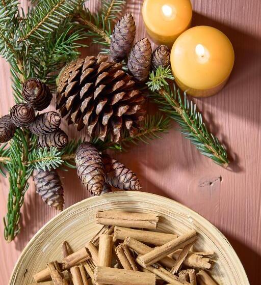 חדר דלוקס, Dolomit Boutique