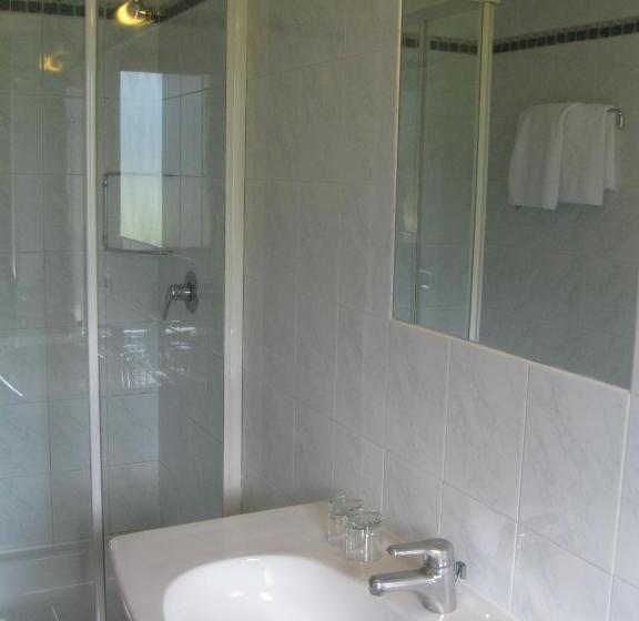 スタンダードルーム, Larch