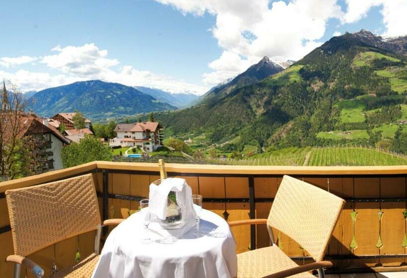 标准间, Mitlechnerhof