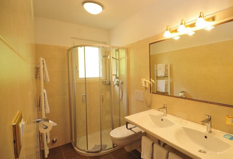 标准间, Mitlechnerhof