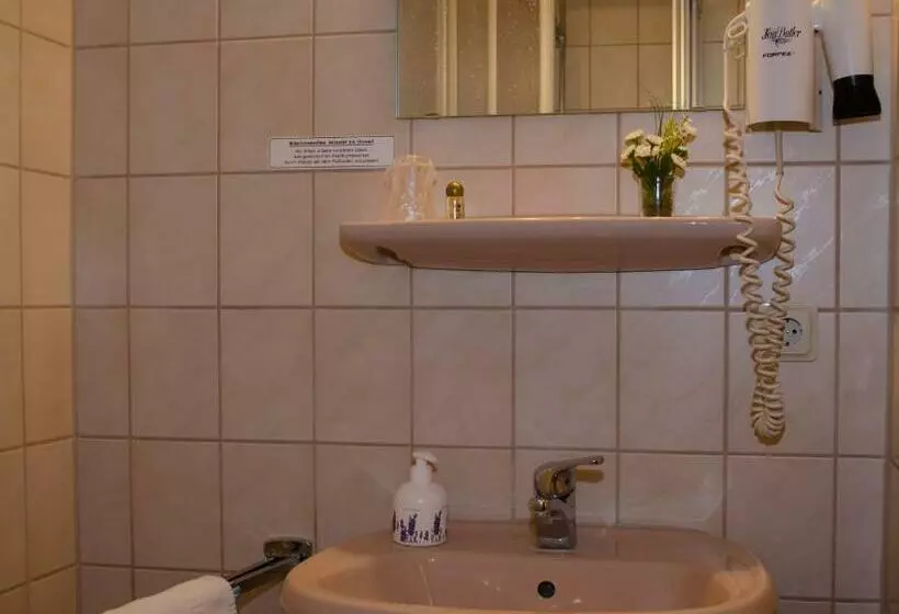 Standard Single Room, & Restaurant Druidenstein