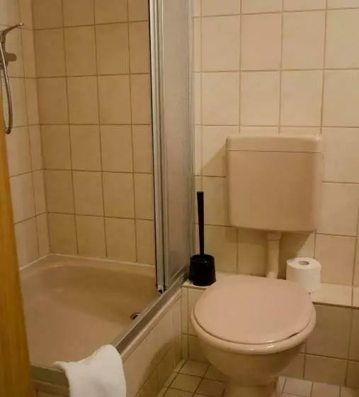 Standard Single Room, & Restaurant Druidenstein