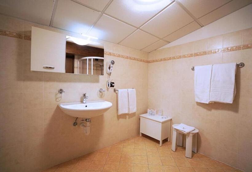 غرفة قياسية, Gh Hotel Fratazza