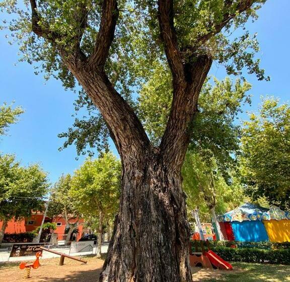 اتاق کلاسیک سه تخته, Al Vecchio Pioppo