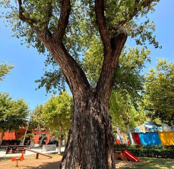 آپارتمان 2 خوابه, Al Vecchio Pioppo