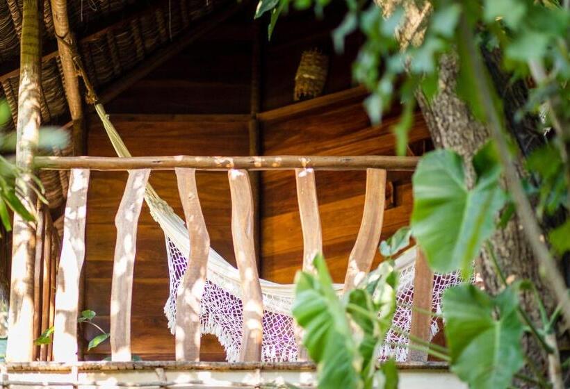 جناح سوبيريور, Hurricane Jeri