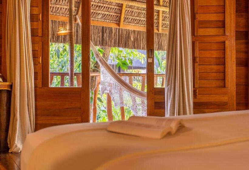 جناح سوبيريور, Hurricane Jeri