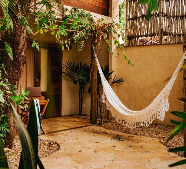 جناح مطلّ علي الحديقة, Hurricane Jeri