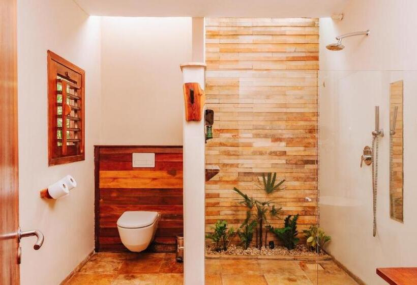 جناح مطلّ علي الحديقة, Hurricane Jeri