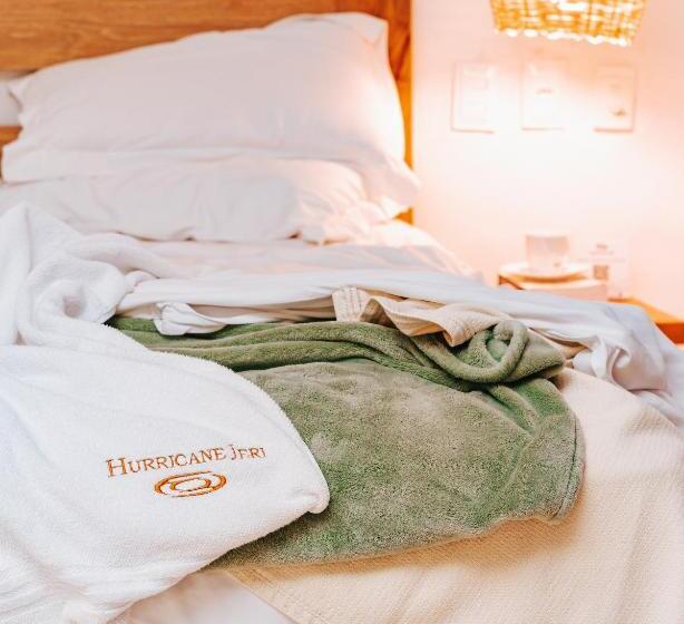 جناح مطلّ علي الحديقة, Hurricane Jeri