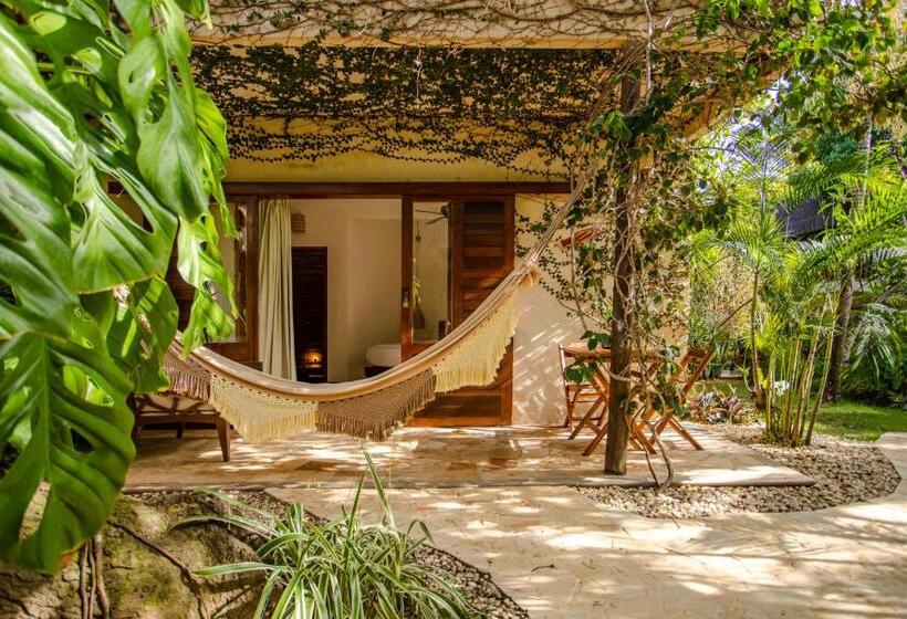 جناح مطلّ علي الحديقة, Hurricane Jeri