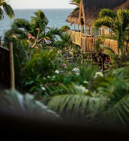 بنجلو ديلوكس, Hurricane Jeri