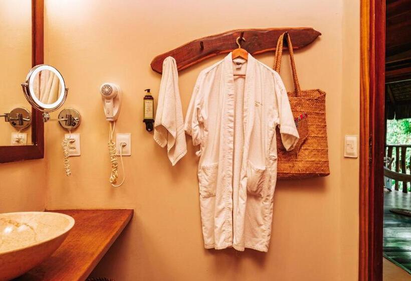 جناح سوبيريور, Hurricane Jeri