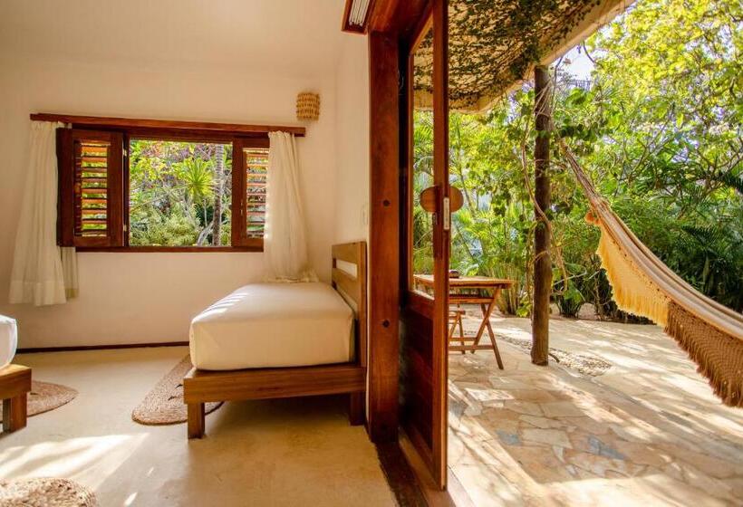 جناح مطلّ علي الحديقة, Hurricane Jeri