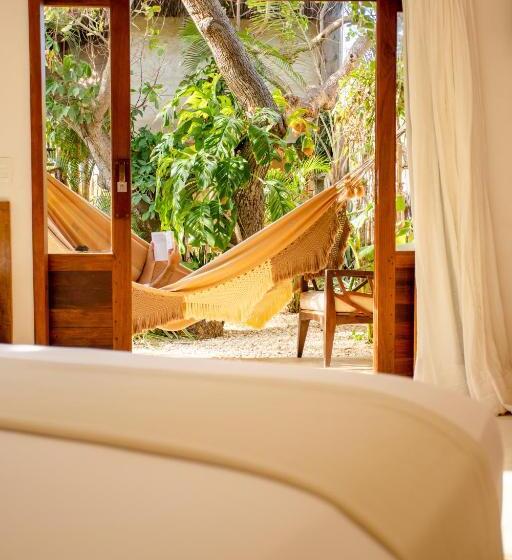 جناح مطلّ علي الحديقة, Hurricane Jeri