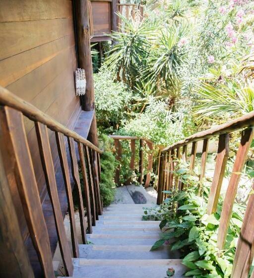 جناح مطلّ علي حمام السباحة, Hurricane Jeri